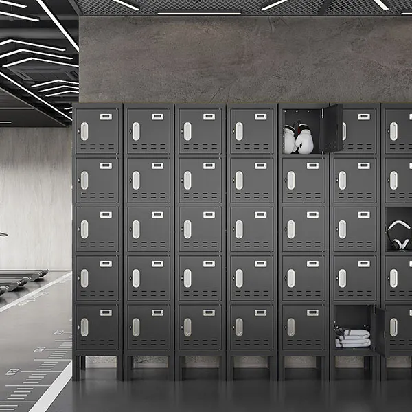 Black American Style Locker