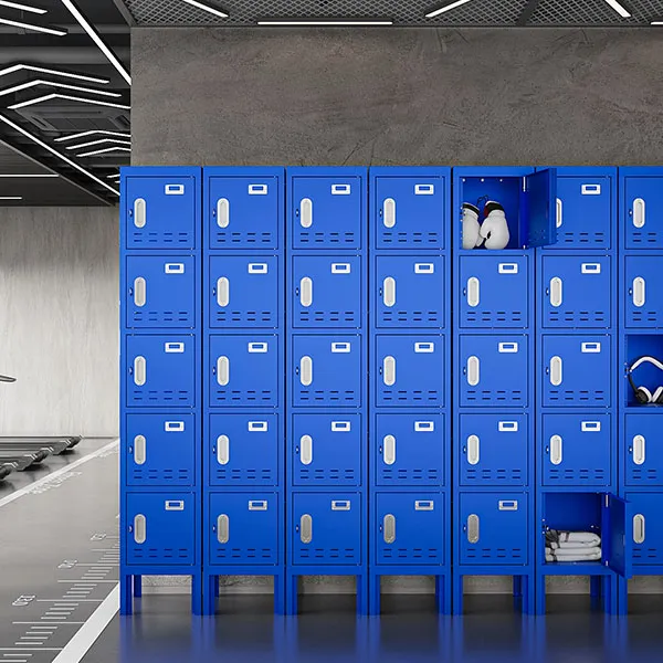 Blue American Style Locker