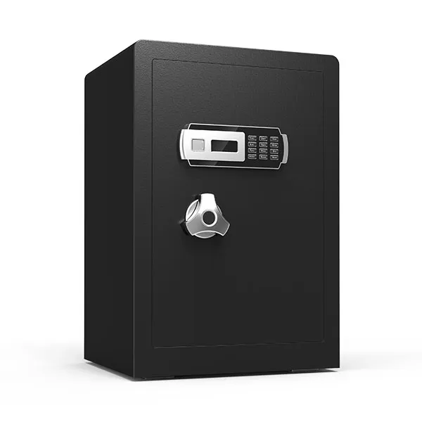 Beige Interior Triangular Safe