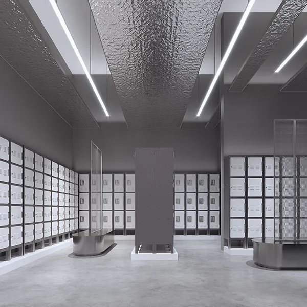 Color Matching Five Door Locker