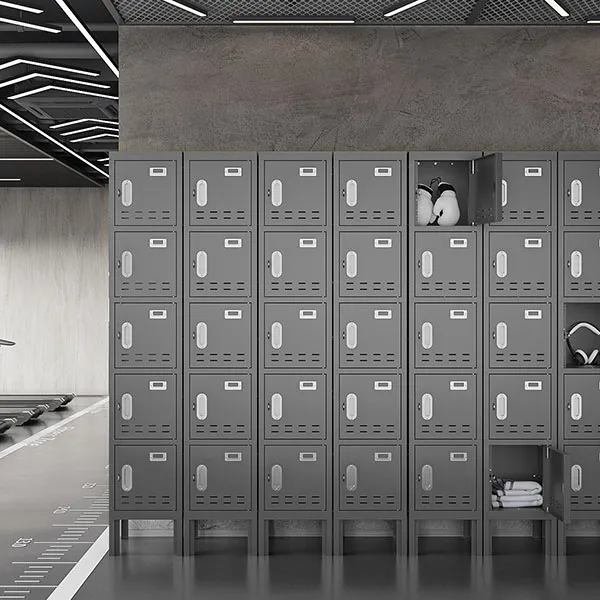 Gray American Style Locker